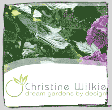Christine Wilkie